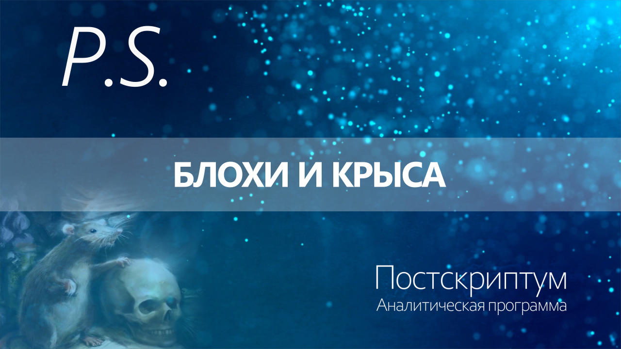 ПОСТСКРИПТУМ: БЛОХИ И КРЫСА